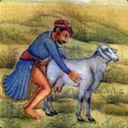 SheepFackers [Podcast]